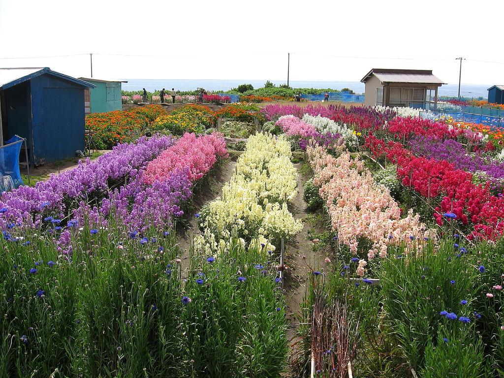 Hillside Inn Sirocco Tateyama  Luaran gambar